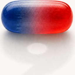 how_pilled_are_you logo