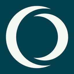 revmo_ai logo