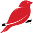 redcanary_ai logo