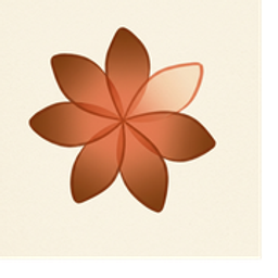 swapp19902_designforyou logo
