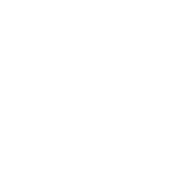 codentis logo