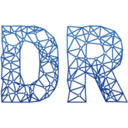 datariders logo