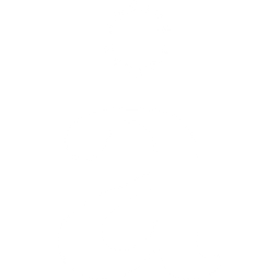 max_t1bt_manifest logo