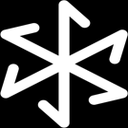 lexi logo