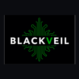 madaburns_bv_mcp logo